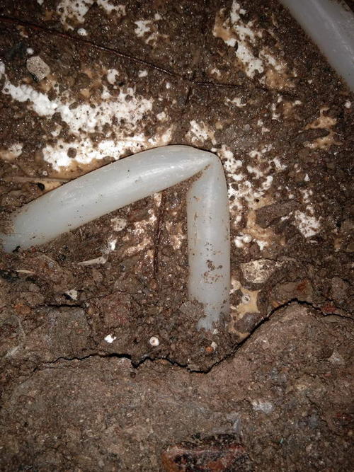 稻城堵点精准查找